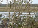 dsc00619
